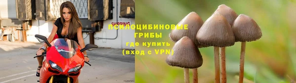 спиды Алзамай