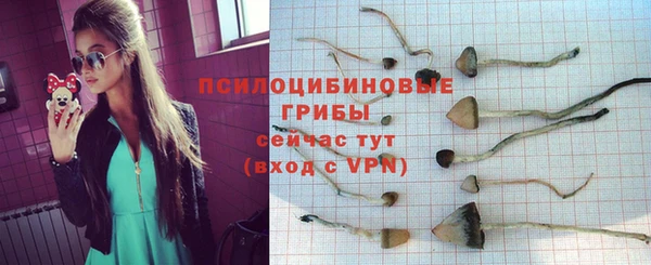 круглые Арсеньев