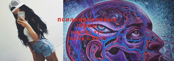спиды Алзамай
